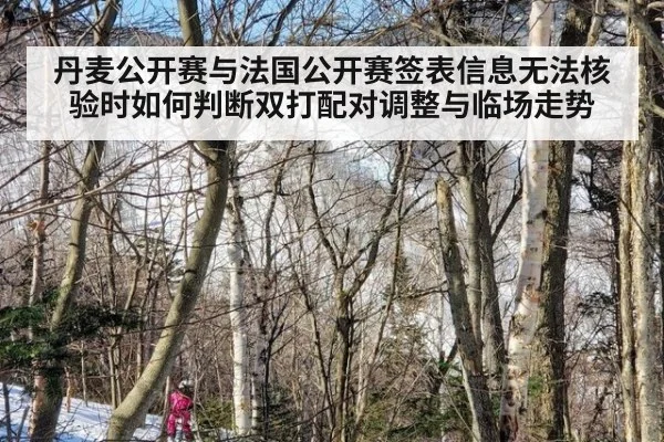 丹麦公开赛与法国公开赛签表信息无法核验时如何判断双打配对调整与临场走势